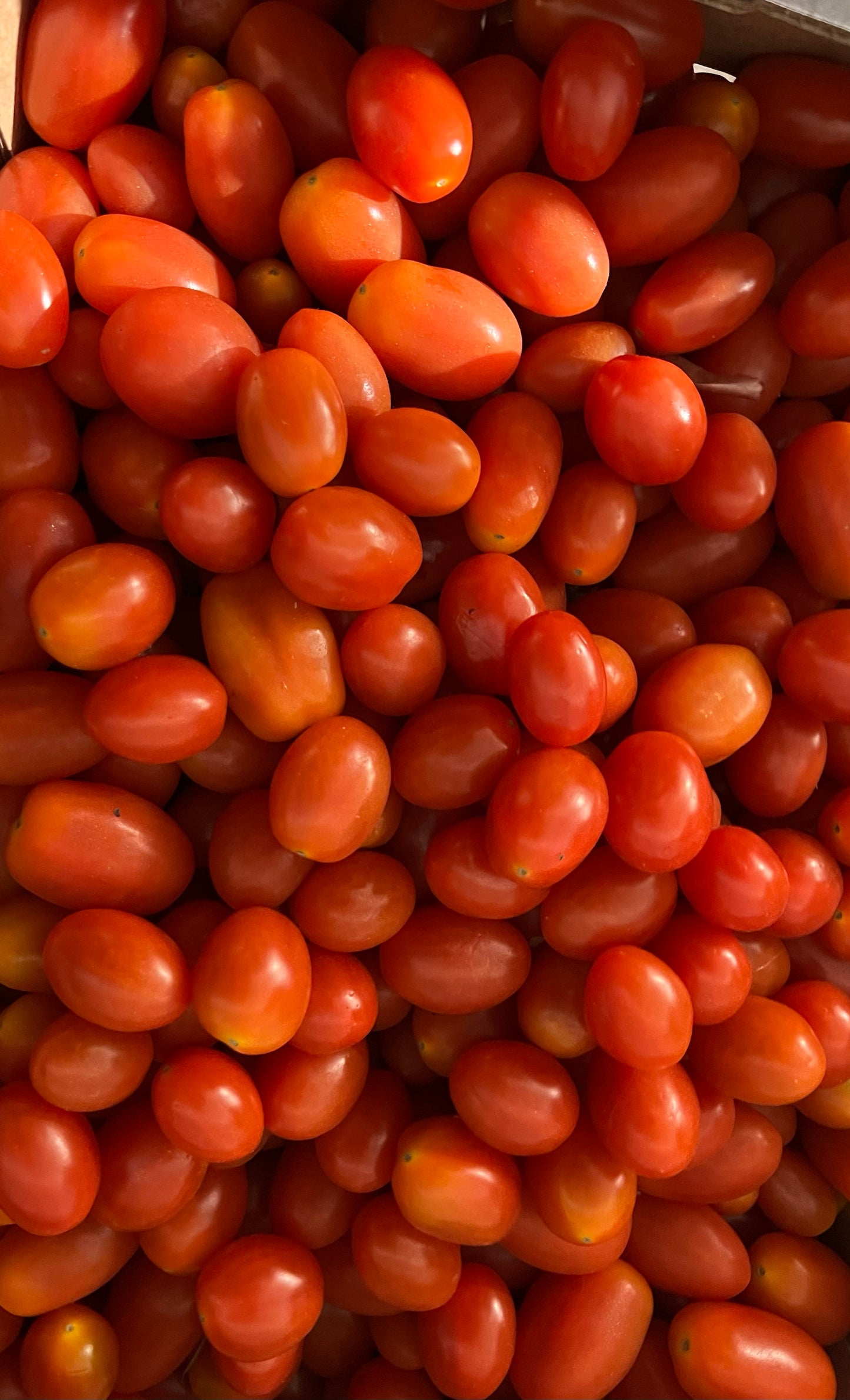 Pomidorki Cherry Koktajlowe