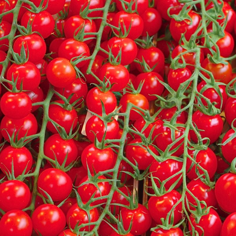 Pomidorki Cherry Koktajlowe Gałązka