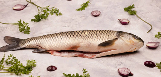 Świeży Amur