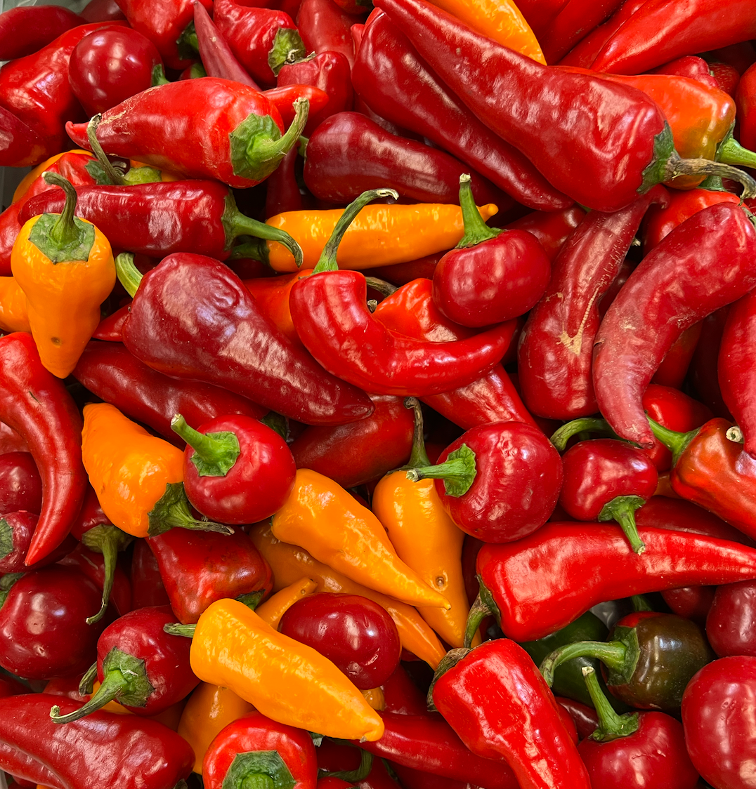 Papryczki Chili